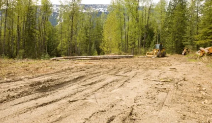 Land & Lot Clearing