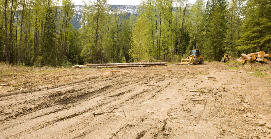 Land & Lot Clearing Land & Lot Clearing