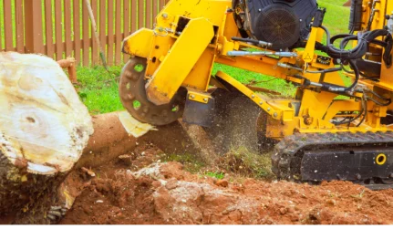 Stump Grinding & Removal